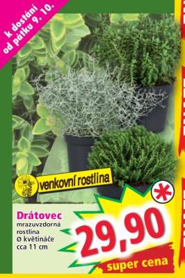 DRÁTOVEC