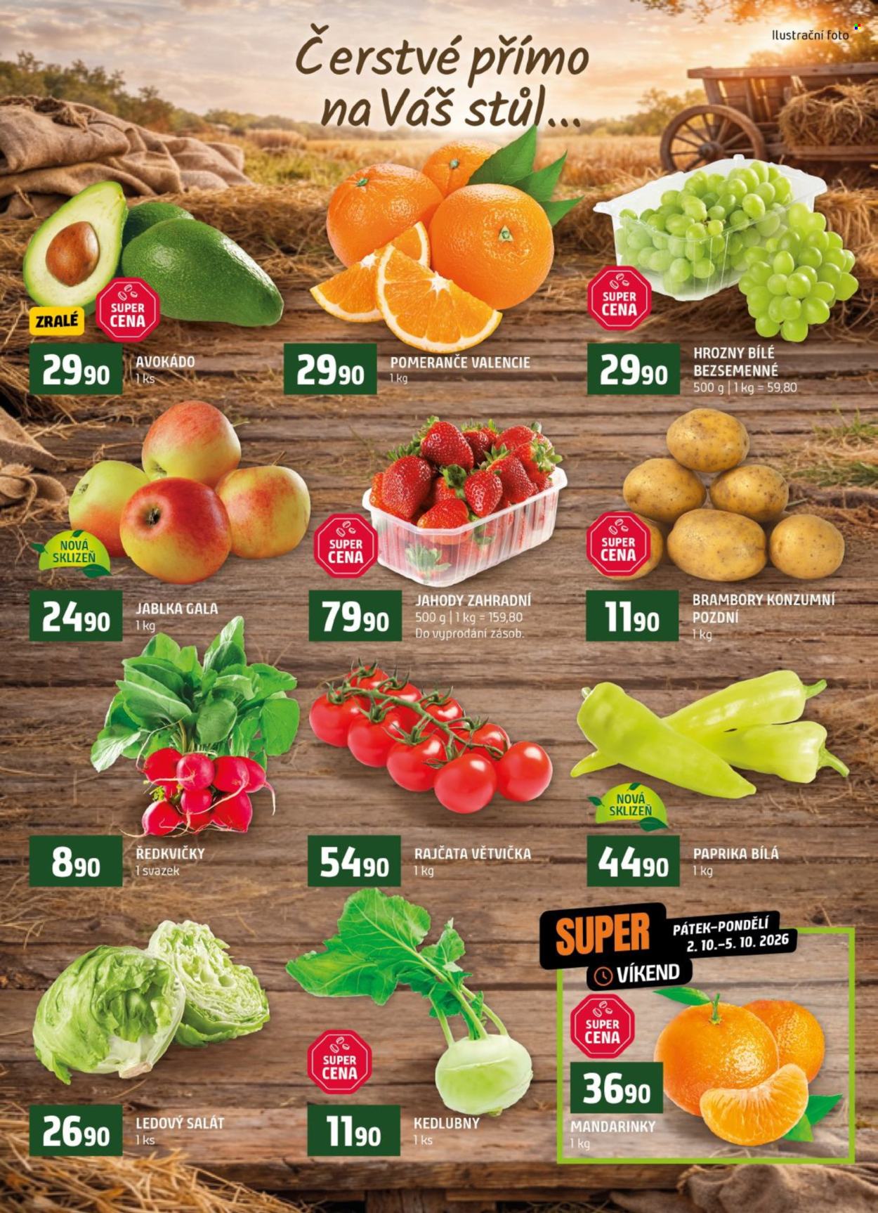 Leták coop TERNO - 30.9.2026 - 6.10.2026. Strana 6