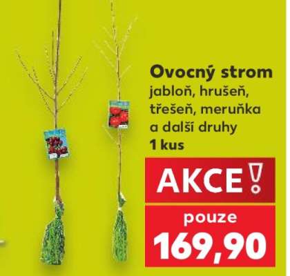 Ovocný strom