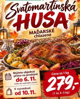Svatomartinská husa