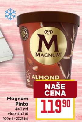 Magnum pinta
