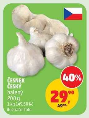 ČESNEK ČESKÝ