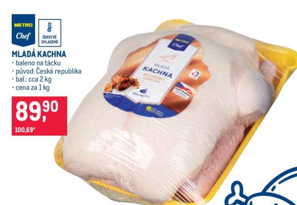 MLADÁ KACHNA