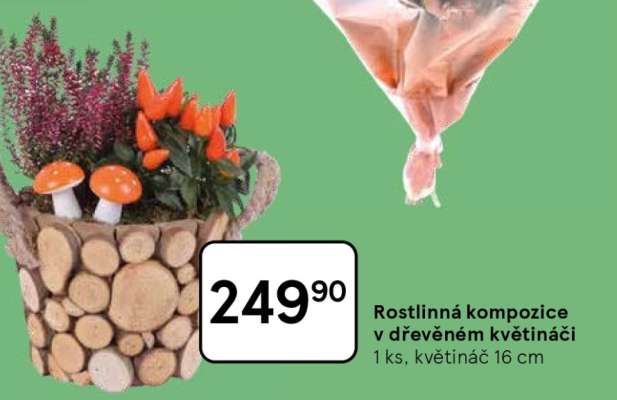 Rostlinná kompozice v dřevěném květináči