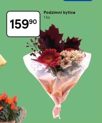 PODZIMNÍ KYTICE