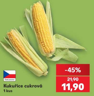 Kukuřice cukrová