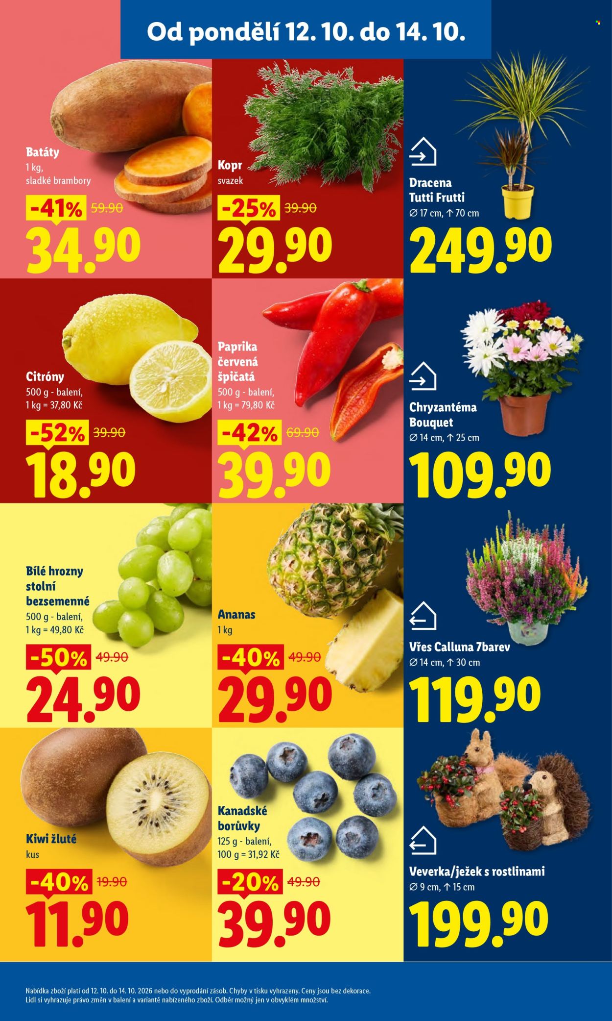 Leták Lidl - 12.10.2026 - 14.10.2026. Strana 13