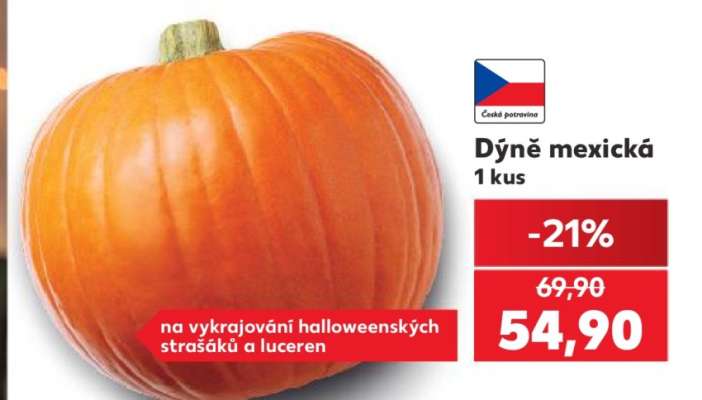 Dýně mexická