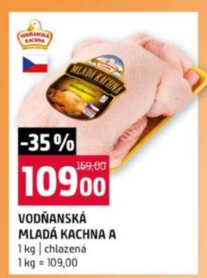 VODŇANSKÁ MLADÁ KACHNA A
