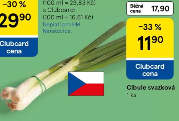 Cibule svazková