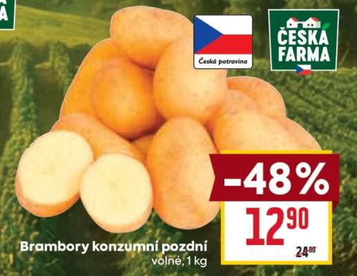 Brambory konzumní pozdní