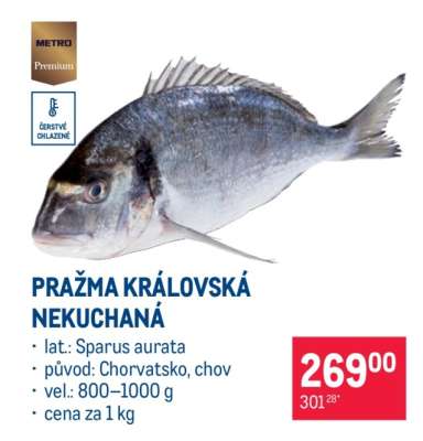 PRAŽMA KRÁLOVSKÁ NEKUCHANÁ