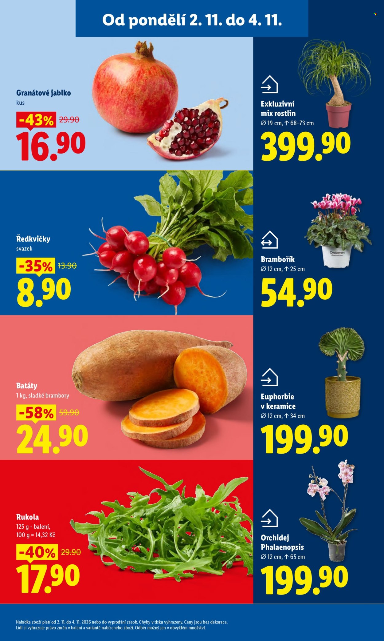 Leták Lidl - 2.11.2026 - 4.11.2026. Strana 11