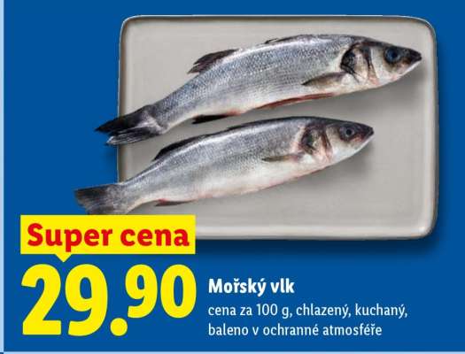 Mořský vlk