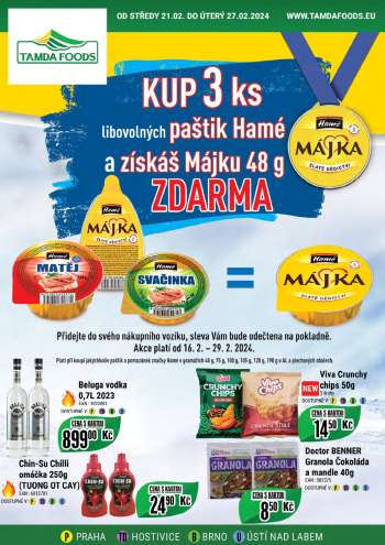thumbnail - Leták Tamda Foods