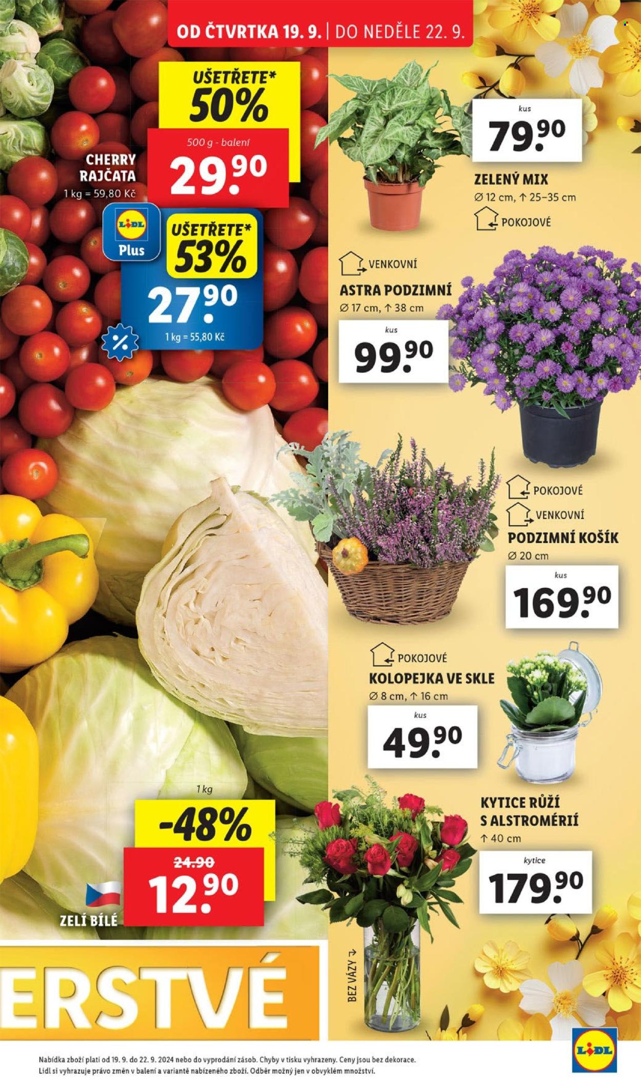 Leták Lidl - 19.9.2024 - 22.9.2024. Strana 13