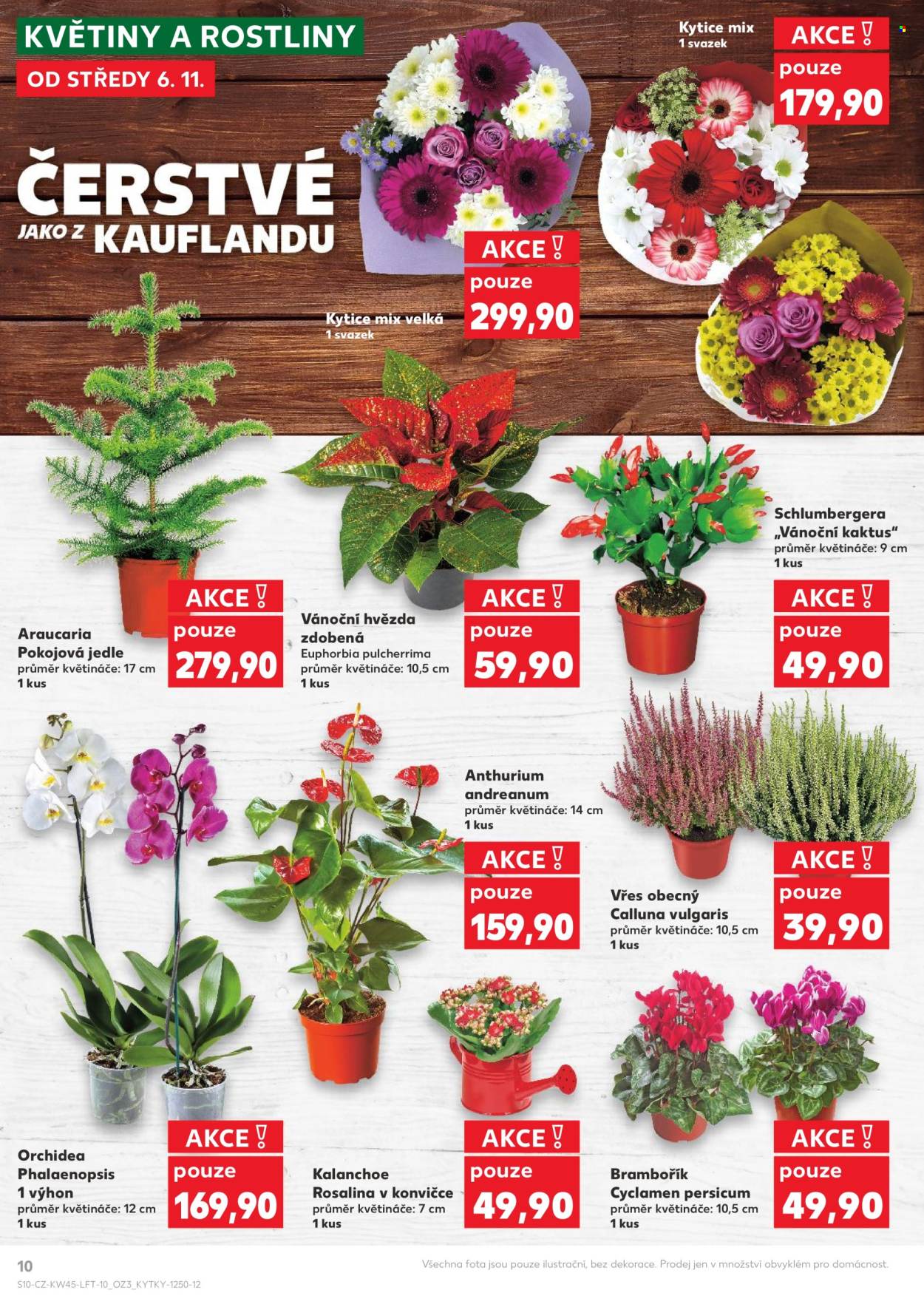 Leták Kaufland - 6.11.2024 - 12.11.2024. Strana 1