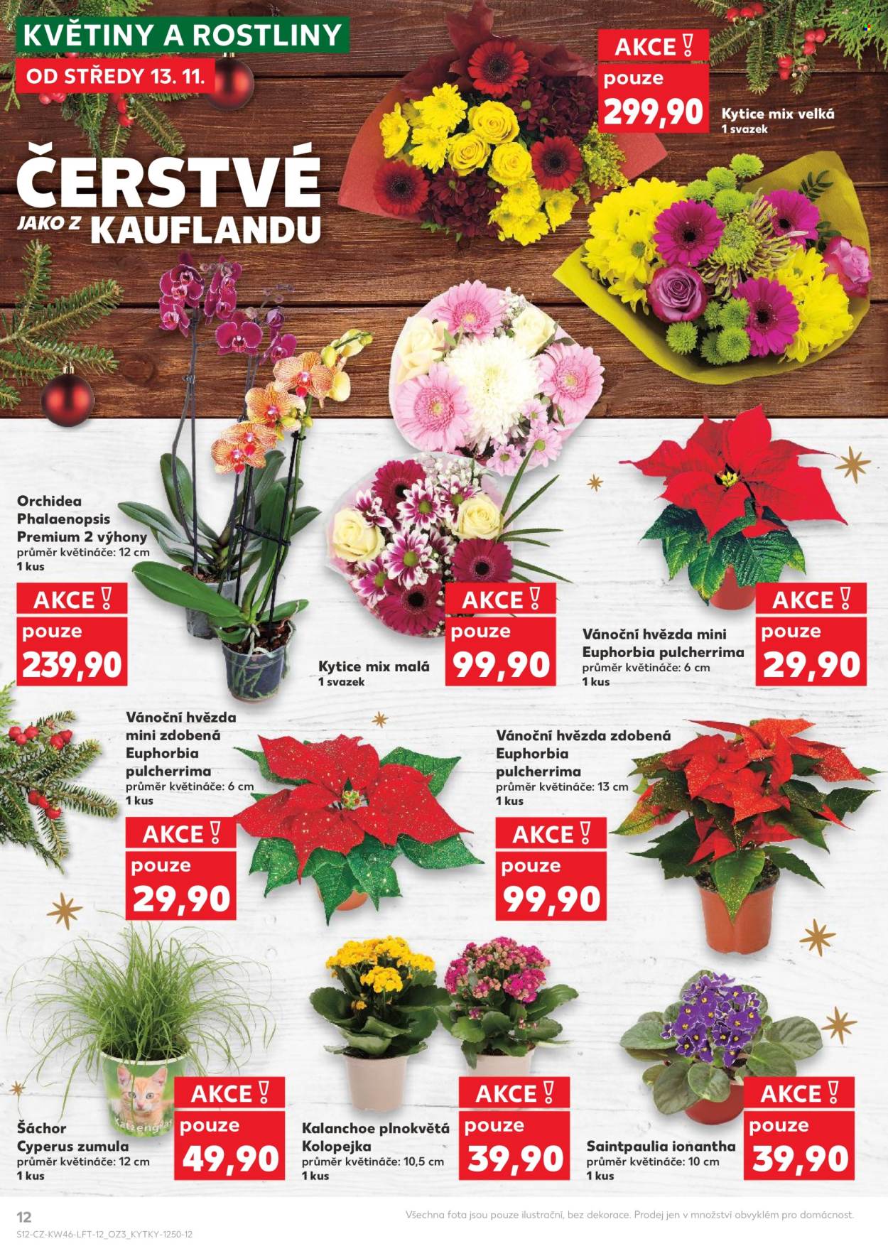 Leták Kaufland - 13.11.2024 - 19.11.2024. Strana 1