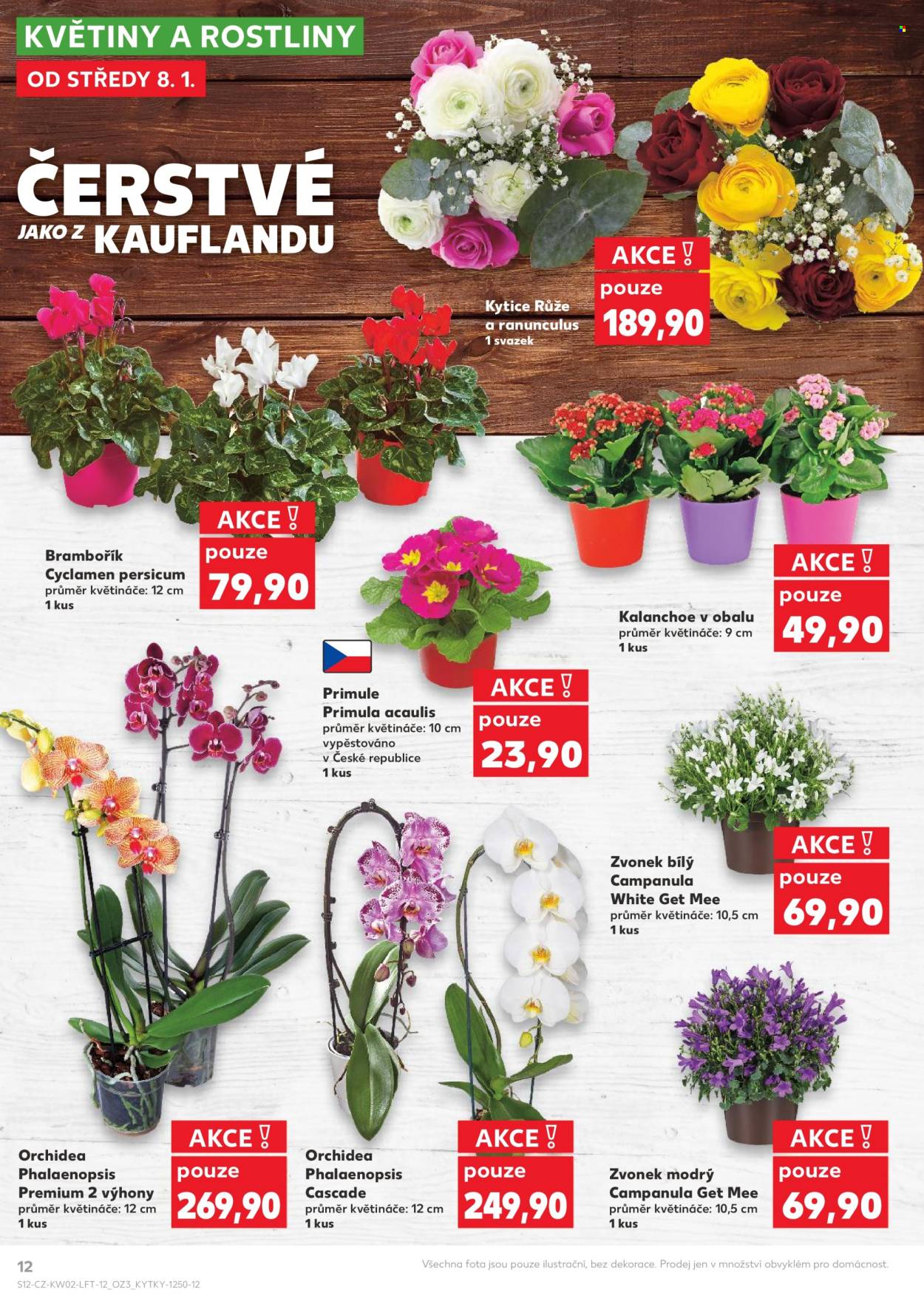 Leták Kaufland - 8.1.2025 - 14.1.2025. Strana 1