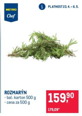 Rozmarýn