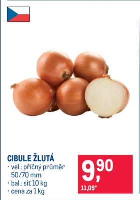 Cibule žlutá