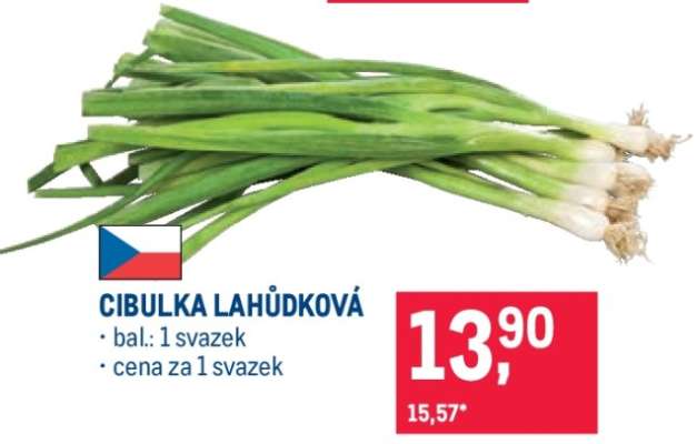 CIBULKA LAHŮDKOVÁ