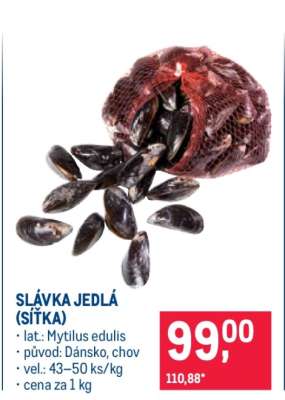 Slávka jedlá (síťka)
