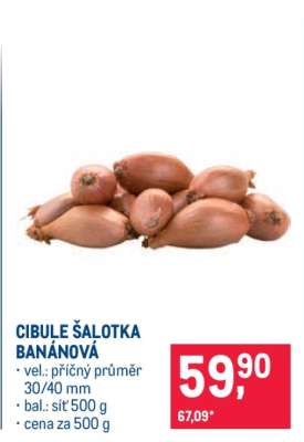 Cibule šalotka banánová
