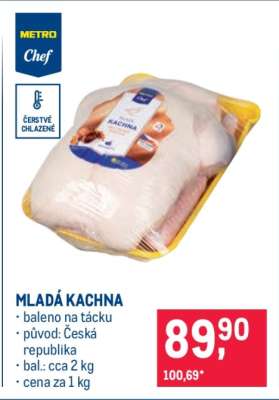 MLADÁ KACHNA