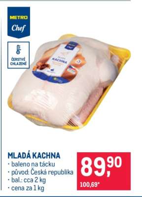 MLADÁ KACHNA