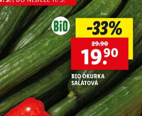 BIO OKURKA SALÁTOVÁ