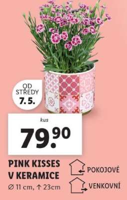 PINK KISSES V KERAMICE