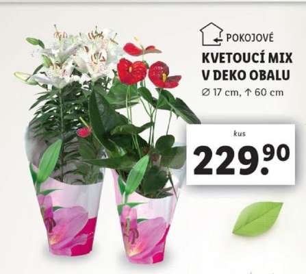 Kvetoucí mix v deko obalu