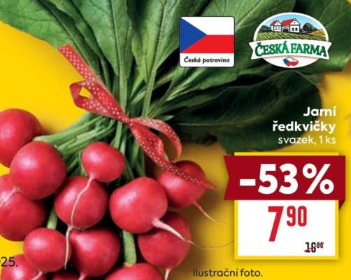 Jarní ředkvičky svazek