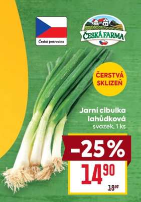 Jarní cibulka lahůdková