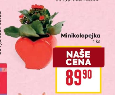 MINIKOLOPEJKA*