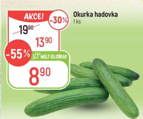 Okurka hadovka