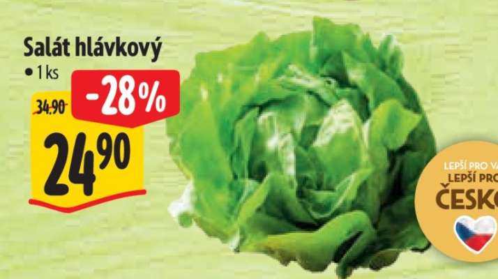 Salát hlávkový