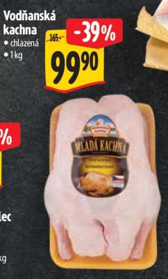 Vodňanská kachna