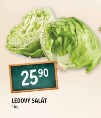 Ledový salát