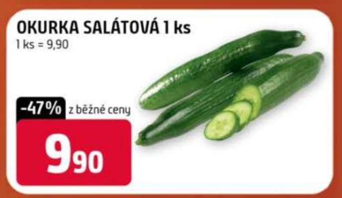 OKURKA SALÁTOVÁ 1 ks