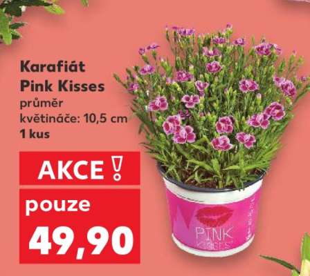 KARAFIÁT PINK KISSES*