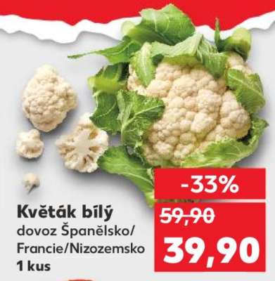 Květák bílý