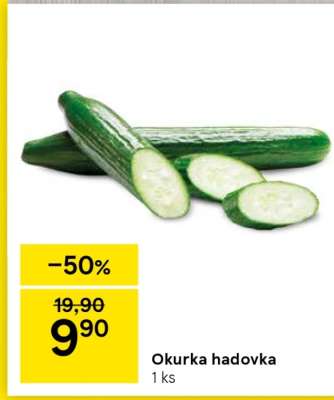 Okurka hadovka