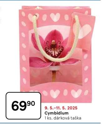 Cymbidium
