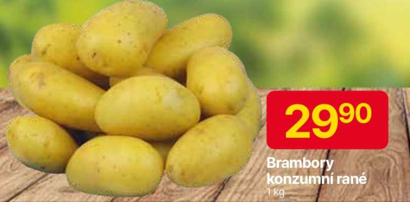 Brambory konzumní rané