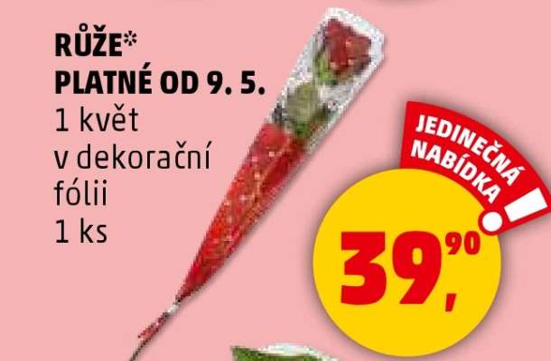 Růže