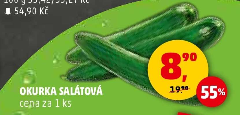 OKURKA SALÁTOVÁ