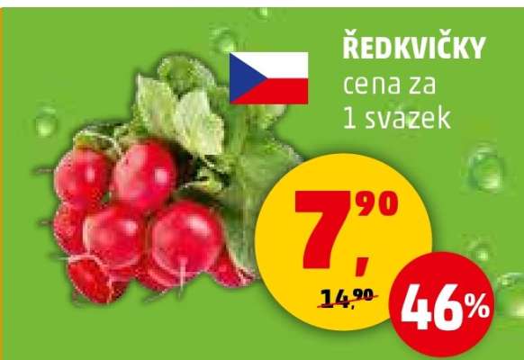 Ředkvičky
