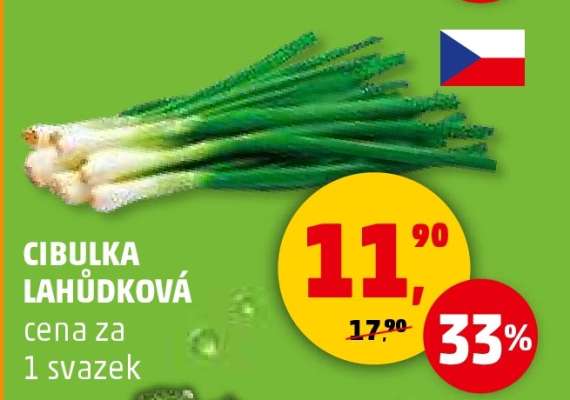 CIBULKA LAHŮDKOVÁ